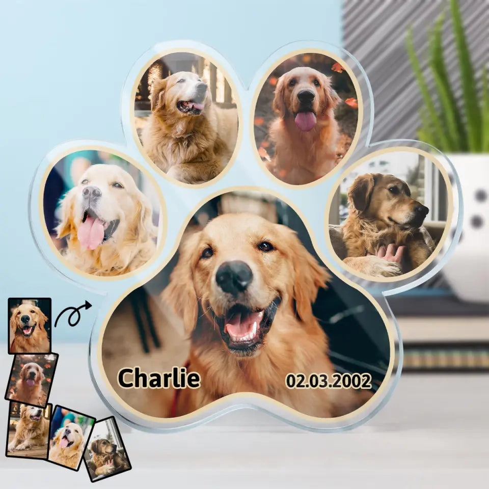 Custom Photo Pet Loss - Memorial Gift For Dog Lover, Cat Mom - Personalized Paw Shaped Acrylic Plaque