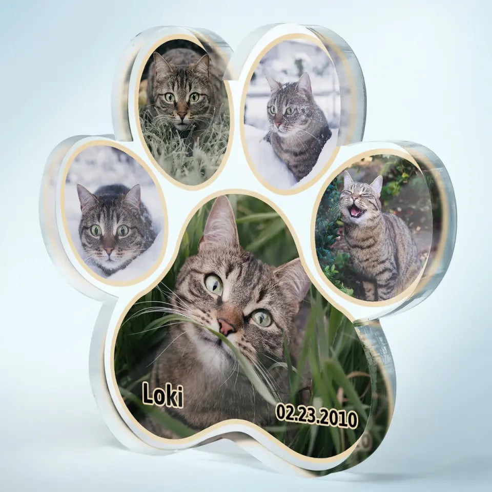 Custom Photo Pet Loss - Memorial Gift For Dog Lover, Cat Mom - Personalized Paw Shaped Acrylic Plaque