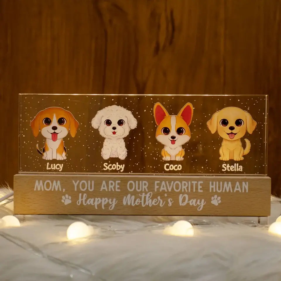 Gift For Dog Mom Personalized Acrylic Block LED Night Light