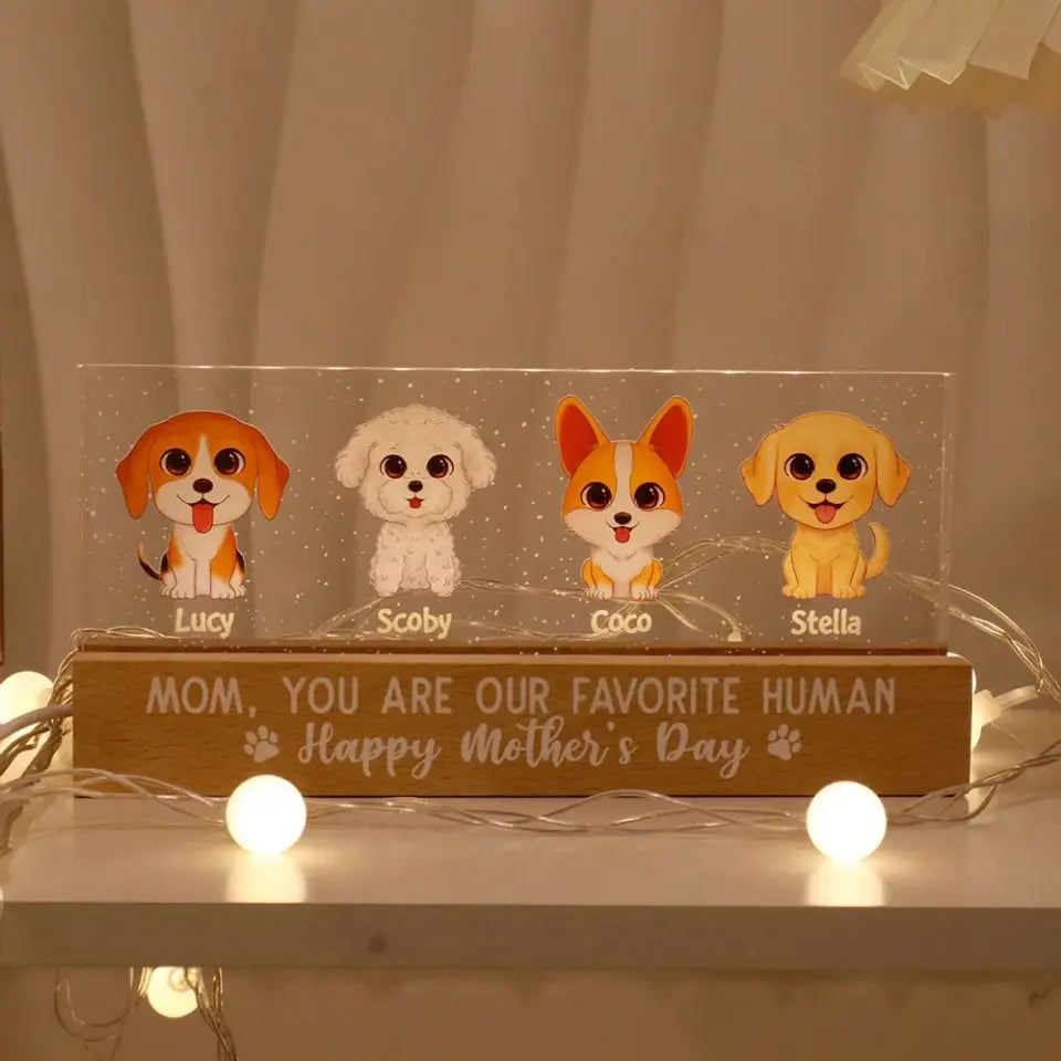 Gift For Dog Mom Personalized Acrylic Block LED Night Light