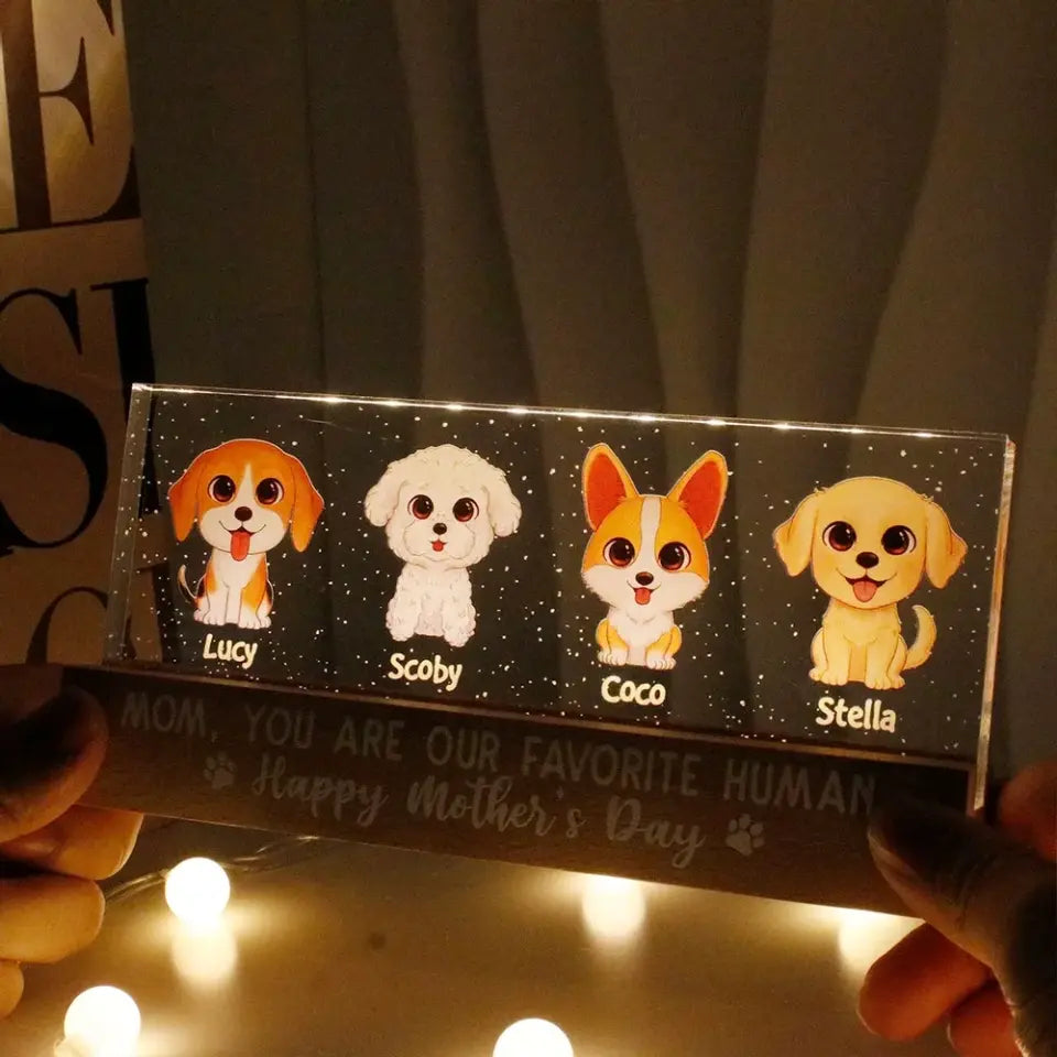 Gift For Dog Mom Personalized Acrylic Block LED Night Light