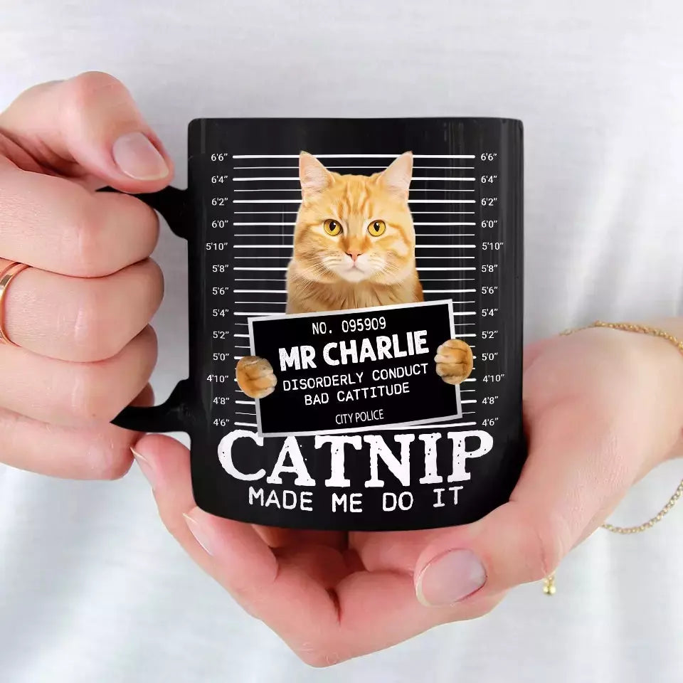 Custom Photo Furry Roommate, Furever Friend - Cat Personalized Custom Black Mug - Gift For Pet Owners, Pet Lovers