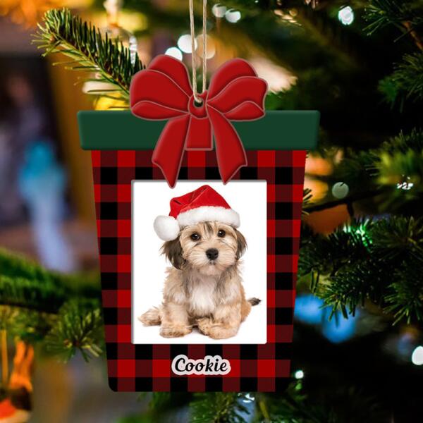 A Special Christmas Gift from the Dog - Personalized Ornament