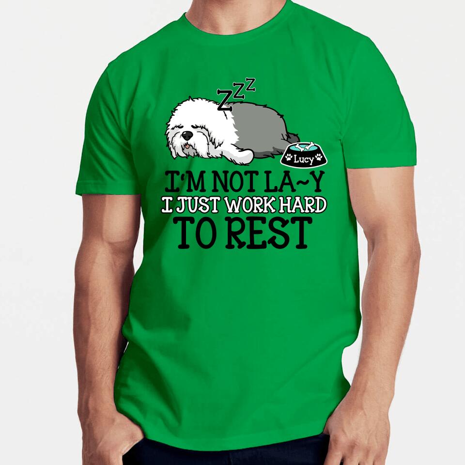 Personalized Lazy Dog Sleeping Funny T Shirt