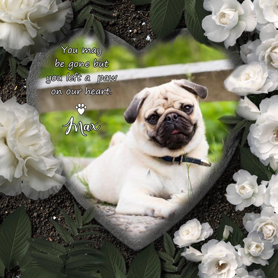 You May Be Gone But You Left a Paw on Our Heart- Custom Photo Personalized Pet Memorial Stone