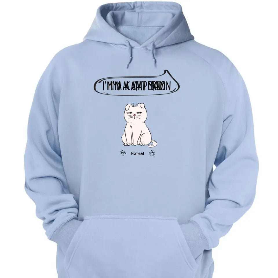 I'm A Cat Person - Personalized Funny Shirt