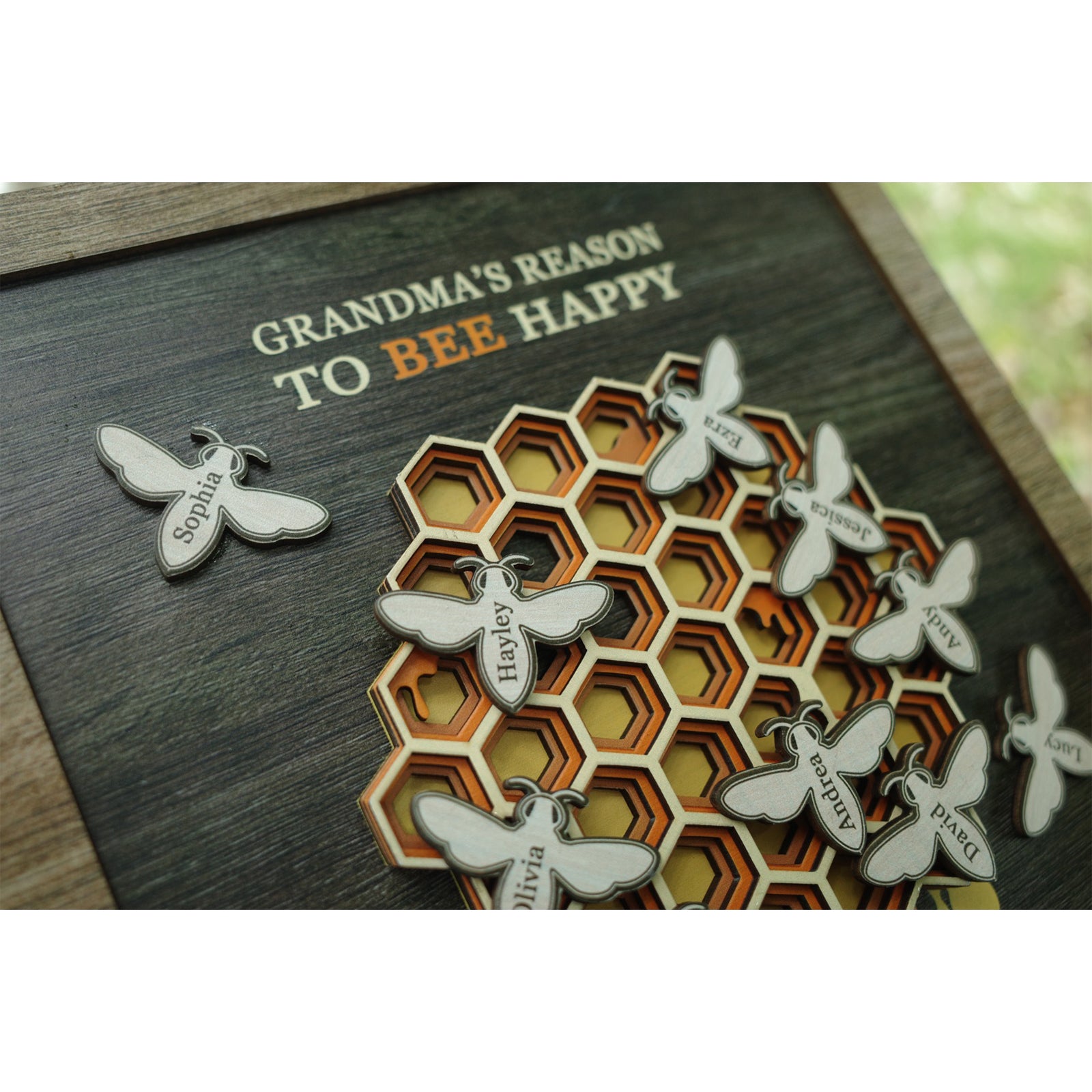 Grandma's Reason To Bee Happy - Personalized Family Wooden Frame